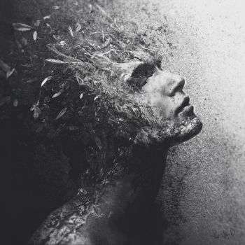 Chaos de l�amiti�