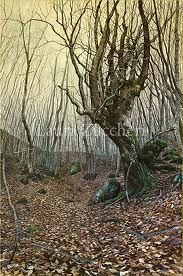 Il corvo sul ramo del faggio  