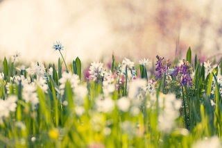 La luce della Speranza