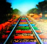 La vita � un viaggio