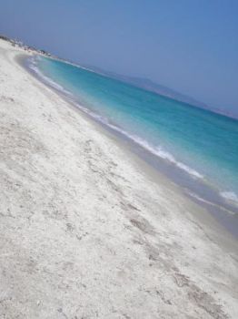 Il canto dei gabbiani