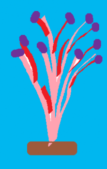 Il fiore pi� bello  