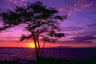 Quando busserai alla mia porta