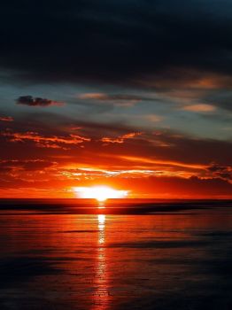 Quadro in esposizione  