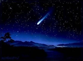 Il valore delle cose  