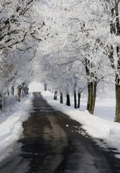 Tra i resti di un inverno