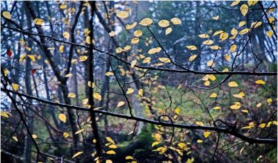 Quiete nel movimento