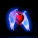 Il mio cuore in un battito d'ali