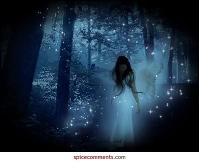 Candido il mio sogno