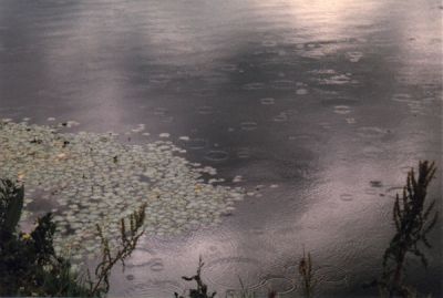 E' fuggita primavera