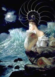 E' dolce... naufragare