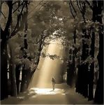 La strada pi� non trovo