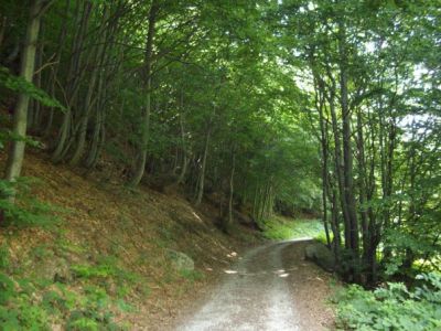 Conquista della libert�