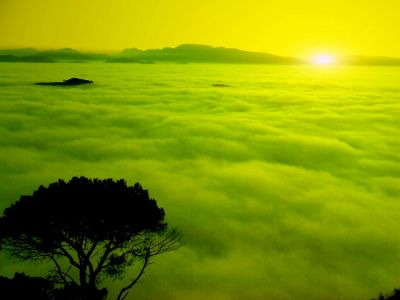 Crepuscoli di nebbia