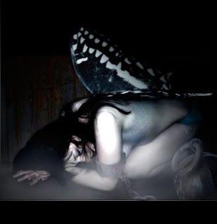 Non riesce più a volare