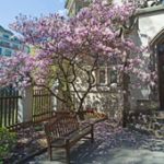 Per sapere che esisti