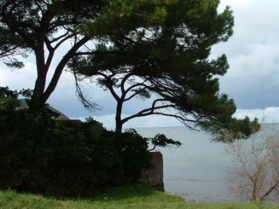 La voce del silenzio