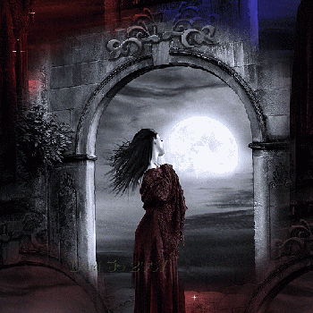 Accarezzo l'ala della sera