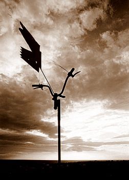 Senza capo n� coda