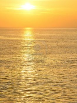 L'afferro per la coda