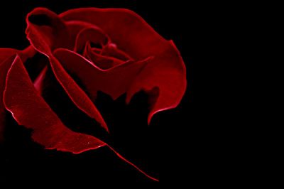 Sei sempre lì...nell'anima