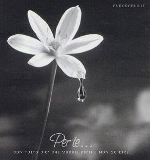 Sei tu che vieni a me