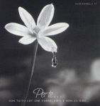 Sei tu che vieni a me