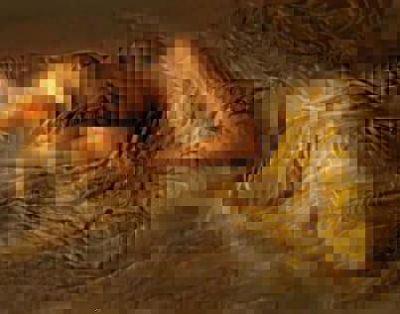 Frammenti di ricordi