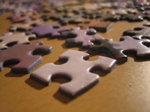 Puzzle della vita