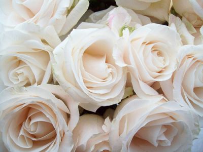 Un eterno abbraccio d’amore