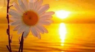 Dammi il tuo calore Sole