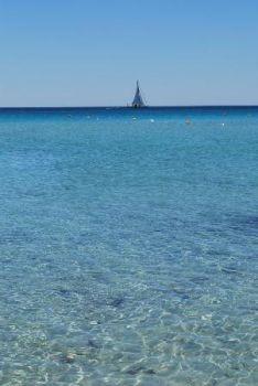 La radice dell�Amore