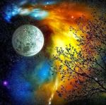 Ecco ... un�emozione