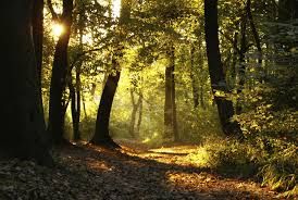 Finalmente potr� riposare