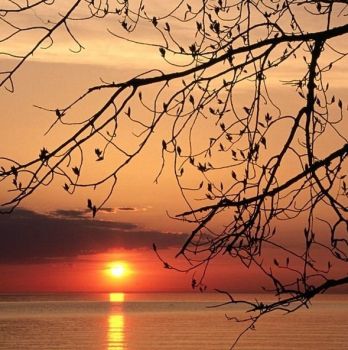 Il sole non ha pi� luce