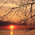 Il sole non ha pi� luce