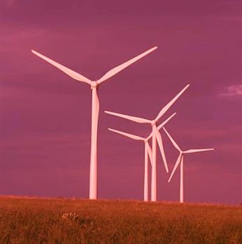 Il senso è variante