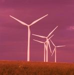 Il senso � variante