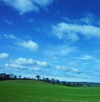 La magia di un incontro