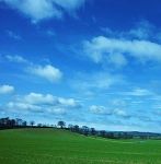 La magia di un incontro