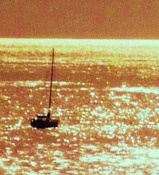 Veleggiando di bolina