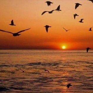 Mentre il vento... carezza l'autunno