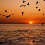 Mentre il vento... carezza l'autunno