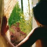 Torner� il giorno felice  