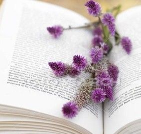 Tra polvere un fiore