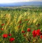 E' il sole d'autunno  