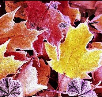 Di quel che l'autunno sussurra