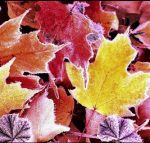 Di quel che l'autunno sussurra