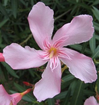 Prima che finisca il giorno  