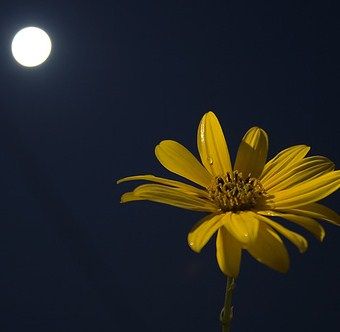 Nel respiro di un sorriso  